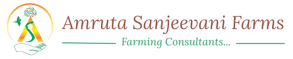 Amruta Sanjeevani Farms