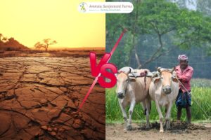 Read more about the article How to Turn Your Barren Land into a Profitable Farm