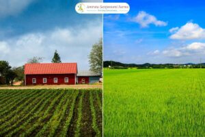 Read more about the article Top 7 Sustainable Farming Practices for Small & Large Farms