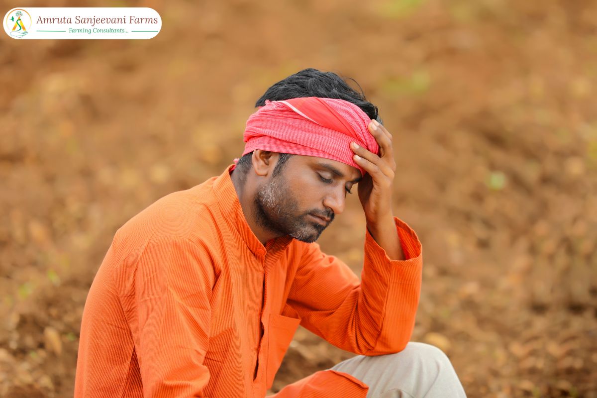 Read more about the article Top 10 Mistakes First-Time Farmers Make (and How to Avoid Them)